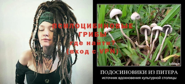 спиды Алексин